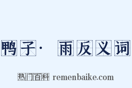 鸭子·雨反义词是什么意思的图片